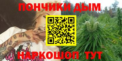 стафф Будённовск
